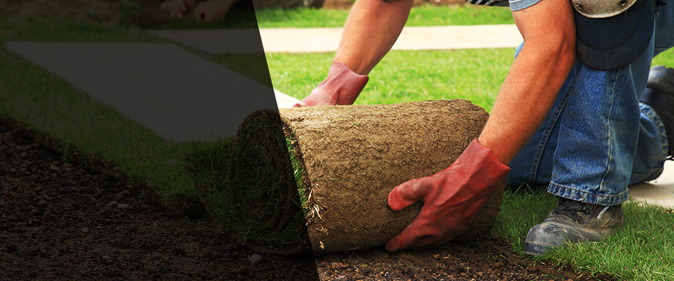 West Covina Landscapers